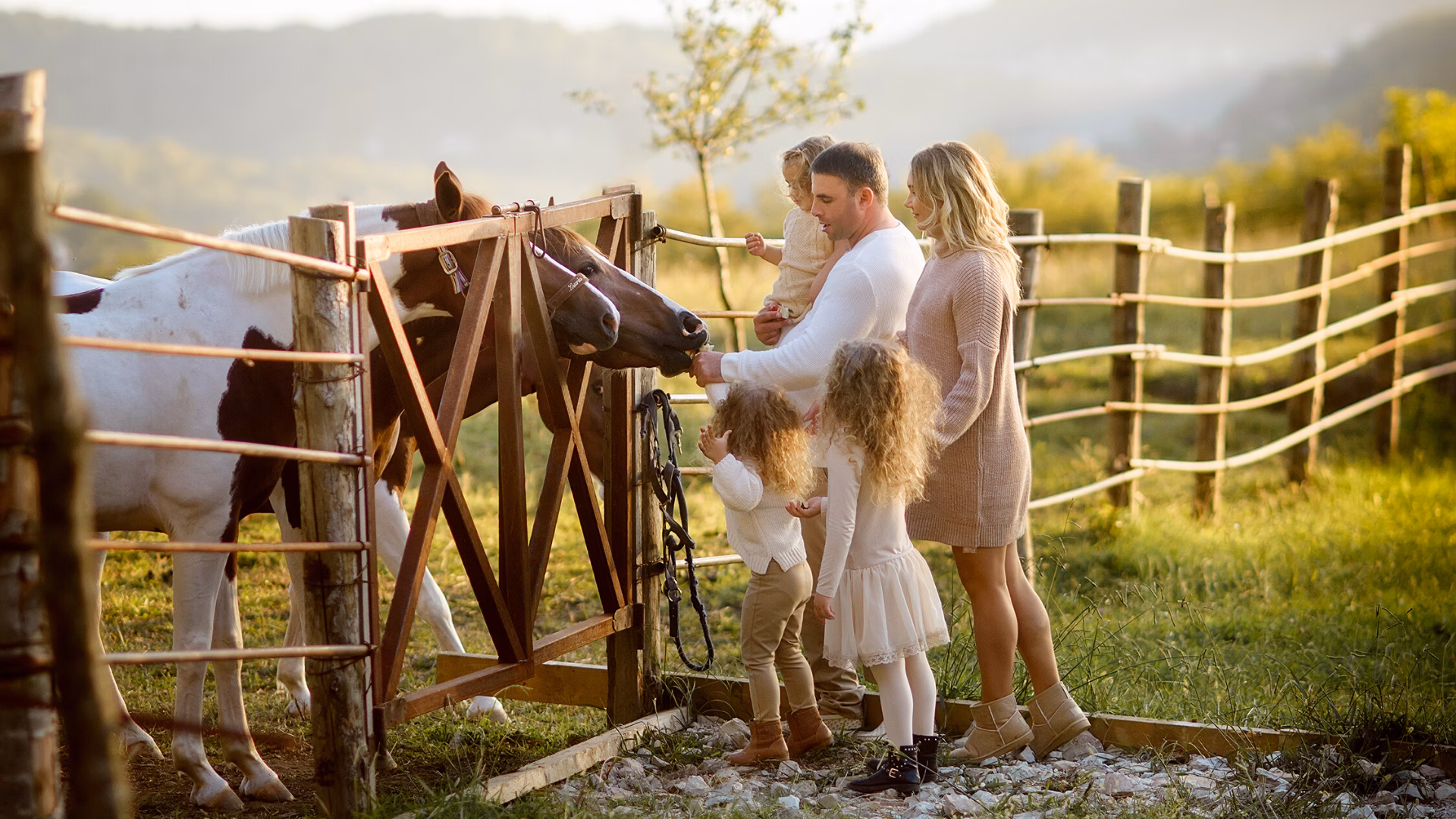 Краснодар - экология, социум и домашние животные